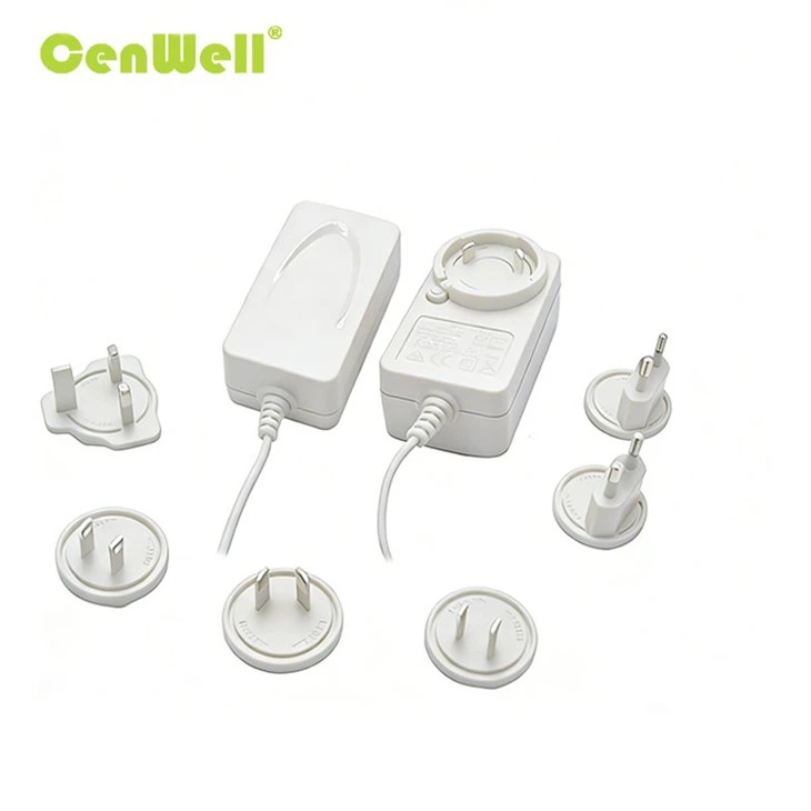 48W Interchangeable Power Adapter 001