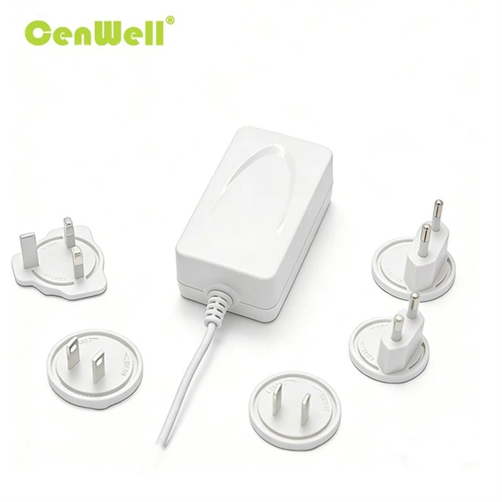 48W Interchangeable Power Adapter 004